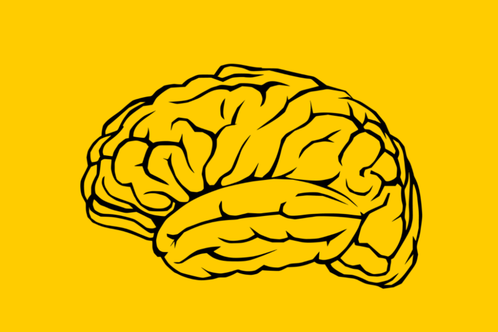 Curso psicotécnicos EMPRESAS