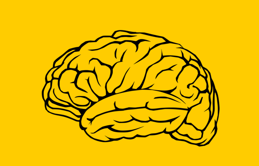 Curso psicotécnicos EMPRESAS