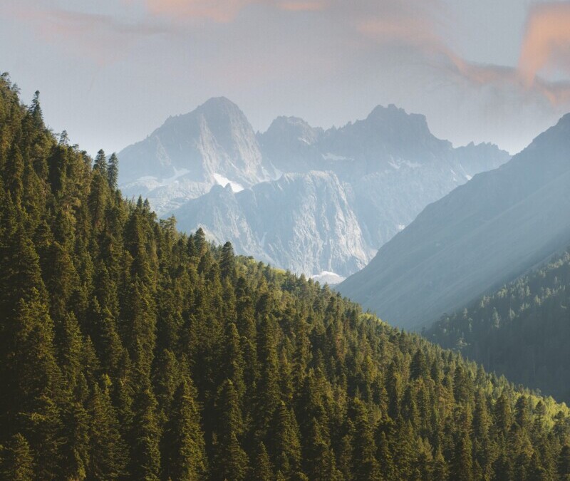 OPOSICIONES AGENTS RURALS